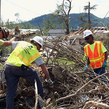 Preparedness & Response